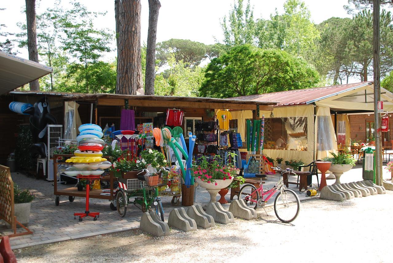 Brevar - Toscane Hotel Torre del Lago Puccini Buitenkant foto